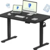 EN1 One-Piece Standing Desk, Electric Adjustable with 4 Memory Presets, 176 LBS Capacity, 48x24 Black