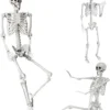 Nook 5.4Ft/165cm Halloween Skeleton Full Body Life Size Human Bones with Movable Joints for Indoor Outdoor Halloween Props Decorations