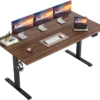 Electric Standing Desk, 48 x 24 Inches Height Adjustable Desk